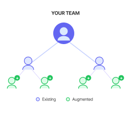 Team Augmentation